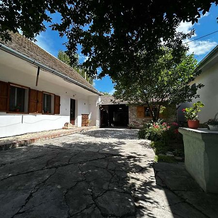 Oaza Mira Porodicna Kuca Za Opustanje Βίλα Apatin Εξωτερικό φωτογραφία