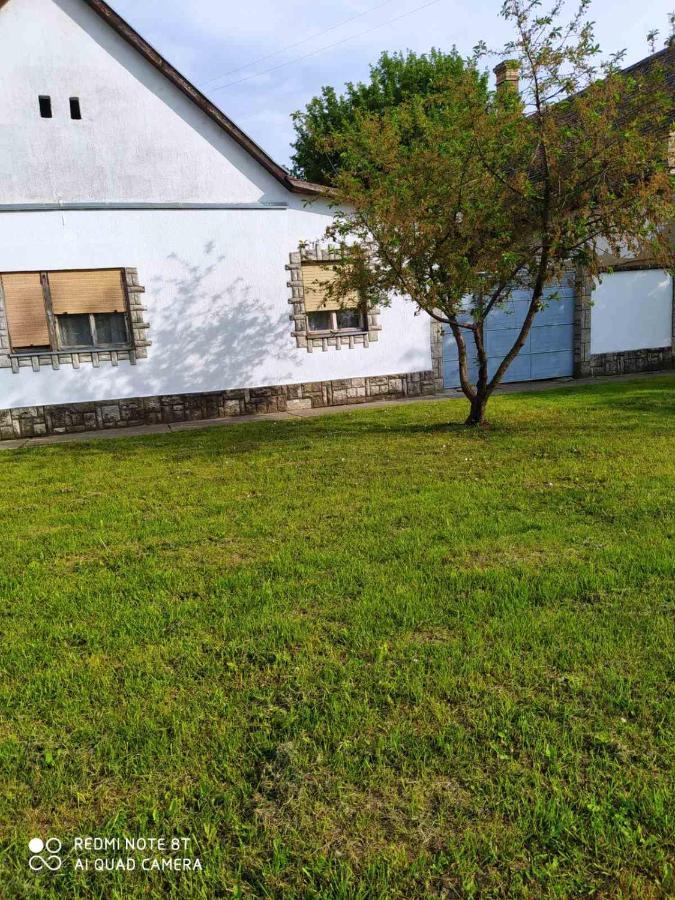 Oaza Mira Porodicna Kuca Za Opustanje Βίλα Apatin Εξωτερικό φωτογραφία