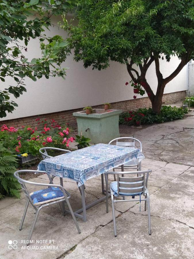 Oaza Mira Porodicna Kuca Za Opustanje Βίλα Apatin Εξωτερικό φωτογραφία