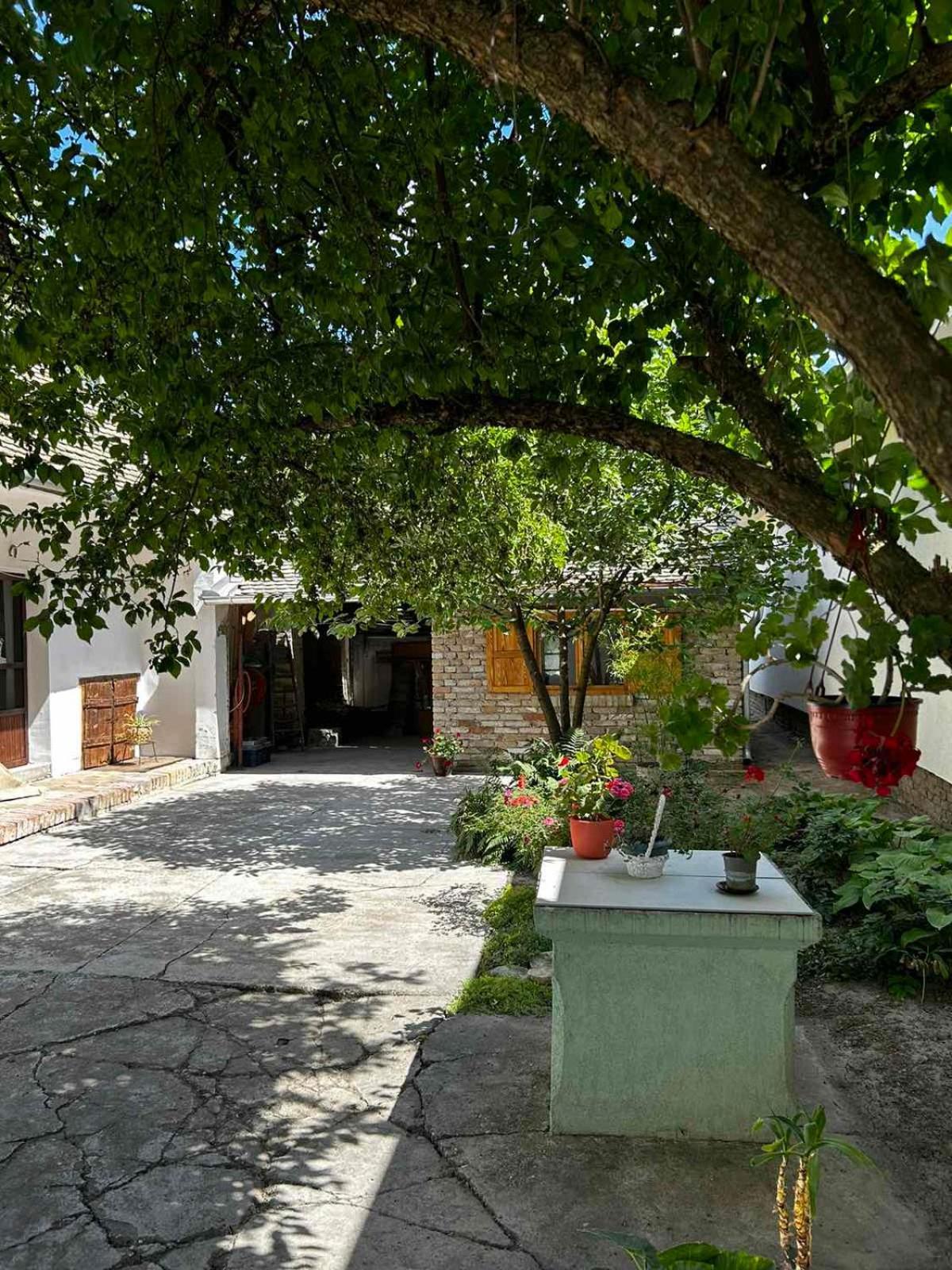 Oaza Mira Porodicna Kuca Za Opustanje Βίλα Apatin Εξωτερικό φωτογραφία